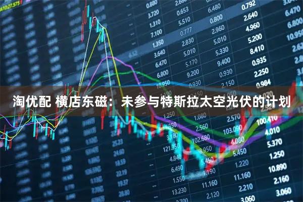 淘优配 横店东磁：未参与特斯拉太空光伏的计划